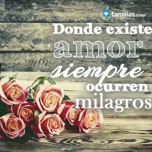 Meet your Posher, Olga